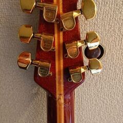 オベーション グレンキャンベルの画像