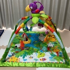 Fisher-Price（フィッシャープライス）／レインフォレスト・デラックスジムⅡの画像