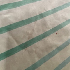 矢作中 中古  ジャージ上下LLの画像