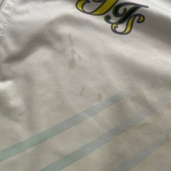 矢作中 中古  ジャージ上下LLの画像