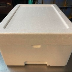発泡スチロール箱　80サイズ　40セットの画像