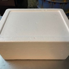 発泡スチロール箱　80サイズ　40セットの画像