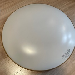 生活雑貨 食器 プレート
