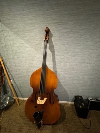 楽器 弦楽器、ギター