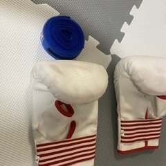 キックボクシング　グローブの画像