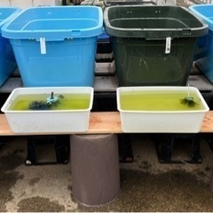 メダカ棚や花鉢の土台にオススメの画像
