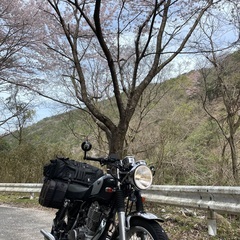 淡路島一周一緒にいかがですか？