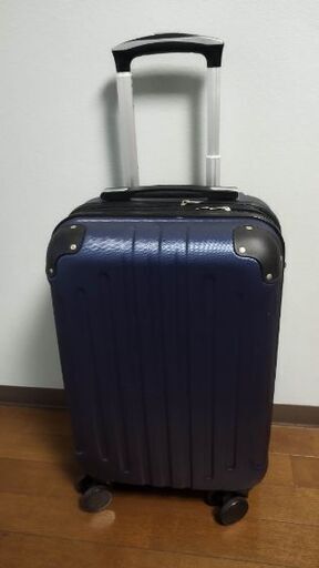 キャリーバッグ D