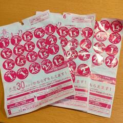 春のパンまつり2024 お皿3枚と10.5ポイント