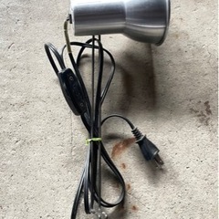 電気