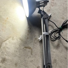 家具 照明器具