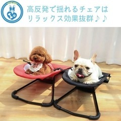 フレンチブルドッグ　ドッグバウンサー　
ペットバウンサー ペットハンモック　犬ベッド　の画像