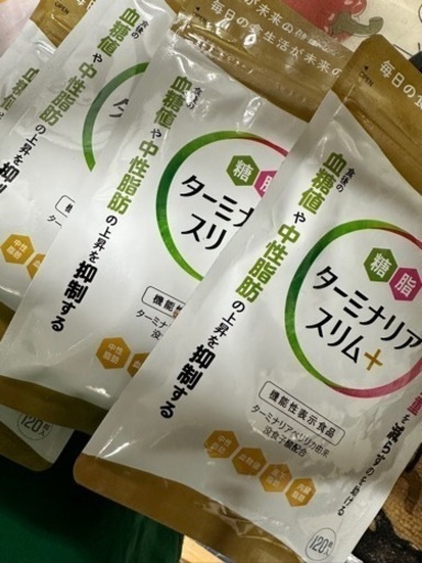 ターミナリアスリム ➕