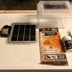 爬虫類飼育セット