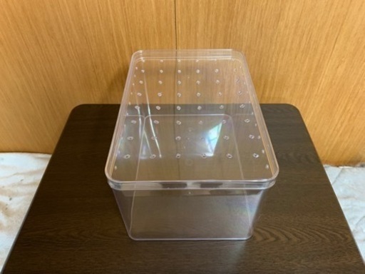 爬虫類飼育セット