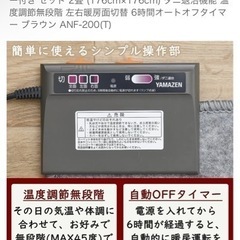 ホットカーペットの画像