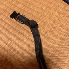 犬の首輪の画像