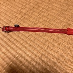 犬の首輪の画像