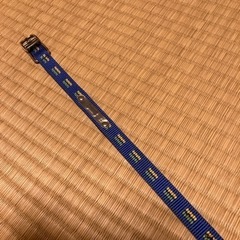 犬の首輪の画像