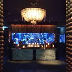 創作好き仲間、同人仲間探してます！ - 大阪市