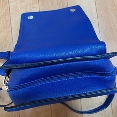 超美品　定価1万3千円位　アメリカ発melie bianco バッグの画像