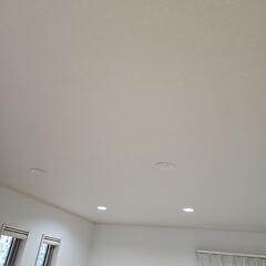 ダウンライト交換出来る方探しています‼️