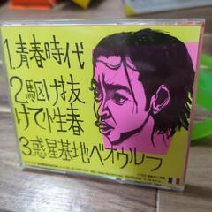 ゴイステ　青春時代CDの画像