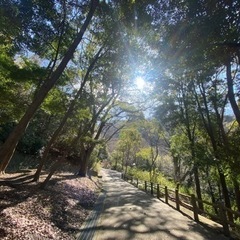 東大阪市・大東市辺りで探しております😌