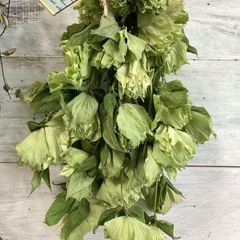 クリスマスローズスワッグ　３３cm　お買い得！の画像