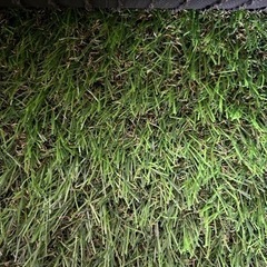 新品　人工芝の画像