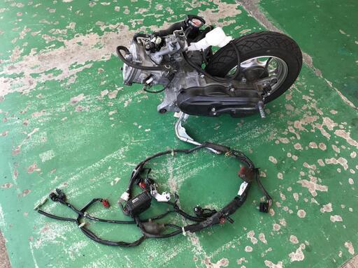 【実動外し】ﾀｸﾄ（AF79） ｴﾝｼﾞﾝAssy/エンジン側ハーネス【HONDA】バイクパーツ