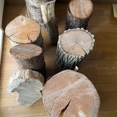 切り株 木材 決まりました