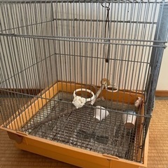 小動物ゲージ