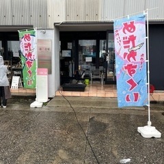 アクアチッタめだかすくい