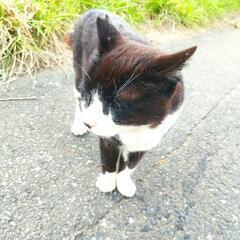 あなたの人生について教えてください