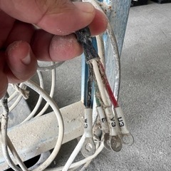 電動ローラーコンベアの画像