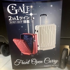 ハードキャリーの画像