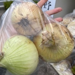 新鮮　野菜　全て一袋100円の画像