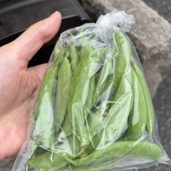 新鮮　野菜　全て一袋100円の画像