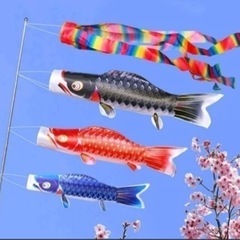 新品・未開封　鯉のぼり②