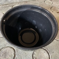メダカ容器
