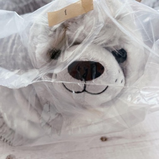 ① 【正規品】Steiff シュタイフ カドリーフレンズ アザラシのアイラ