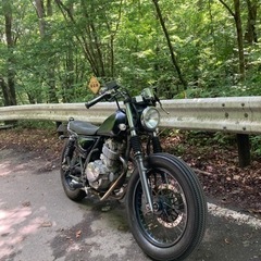 グラストラッカー250の画像