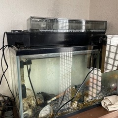 家電 キッチン家電 オーブントースター