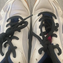MIZUNOシューズの画像