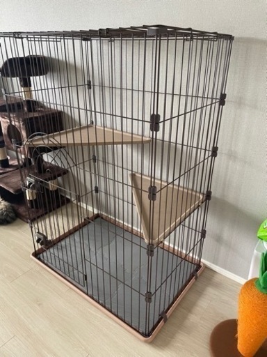猫　キャット　ケージ