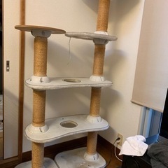 猫タワーあげます