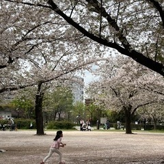 女の子のママさんお友達になりませんか？
