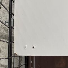 猫ケージ　コンビネーションサークル にゃんこ向け 広々快適セット　ネコ　ゲージの画像