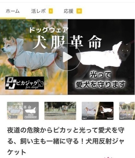 〔新品〕ピカジャケ　犬用　ssサイズ